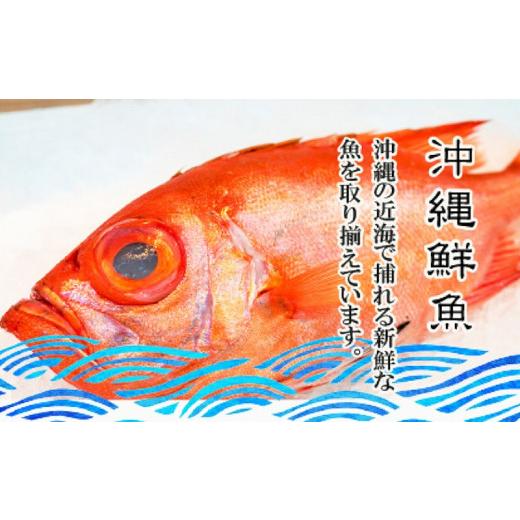 ふるさと納税 沖縄県 那覇市  沖縄美ら海鮮魚セット