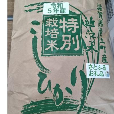 ふるさと納税 竜王町 令和5年産環境こだわり近江米　こしひかり　玄米　30kg