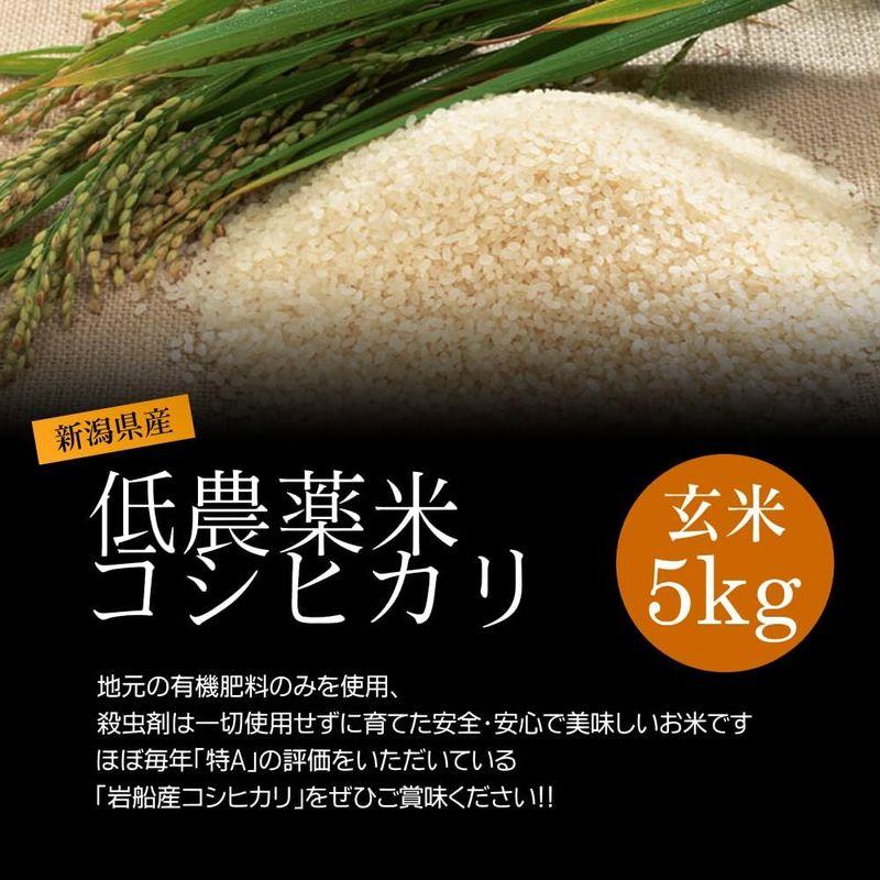 お土産農薬低減米コシヒカリ 玄米 5kg(1kg×5袋)化学肥料ゼロで育てた新潟米