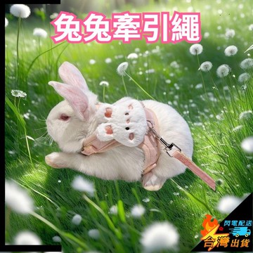 【台灣出貨】兔兔牽引繩 兔子外出繩 兔繩 可調節防掙脫背心式 兔衣服繩 兔子牽繩衣 溜兔繩 兔子牽引繩 小寵牽引繩