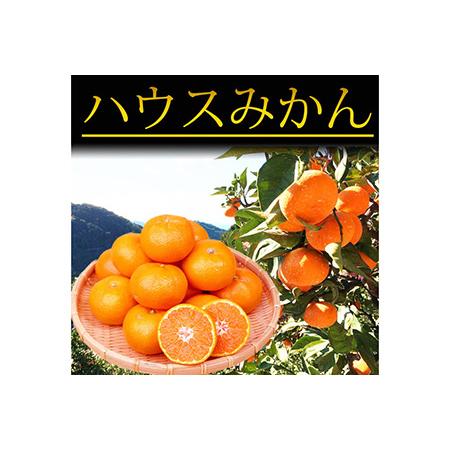 ふるさと納税 紀州和歌山有田産ハウスみかん　2.5kg　化粧箱入 ※2024年6月下旬〜7月中旬頃に順次発送予定 和歌山県美浜町