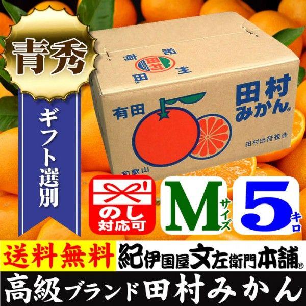 田村みかん 青秀 M 5キロ 贈答用 ギフト選別果実 Ｍサイズ ５kg [1箱＝約50果前後] 和歌山県 有田みかんの最高ブランドたむらみかん