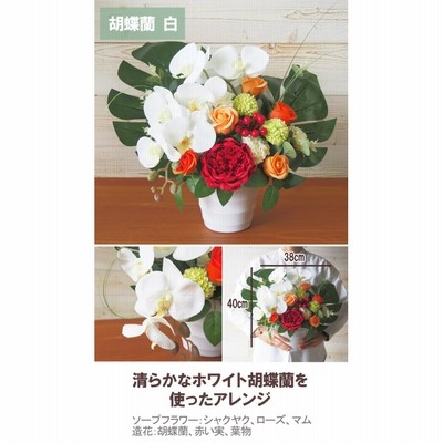 白い向日葵と胡蝶蘭のナチュラルアレンジメント｜洗練された癒し