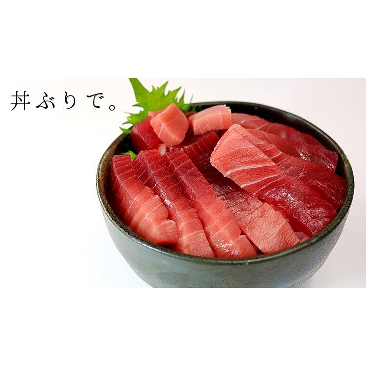 ※12 11〜12 30お届け限定 本マグロ中トロ1kg！送料無料 解凍レシピ付 マグロ刺身《pbt-bf14》〈bf1〉yd9[[本鮪中トロセット1kg]