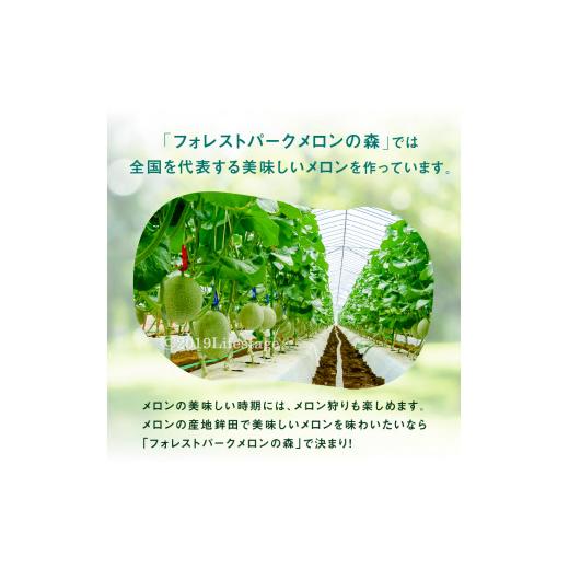 ふるさと納税 茨城県 鉾田市 上品な甘さと香りが大好評「優妃メロン」1箱（2個入）