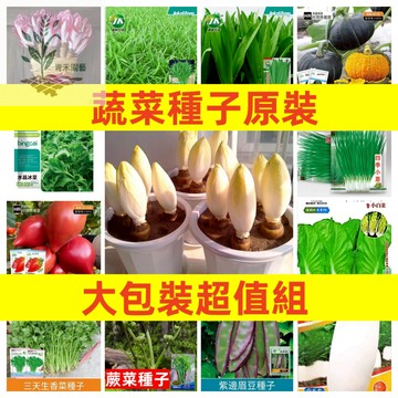 （原廠大包裝蔬菜種子）水晶冰菜#空心菜#小蔥#油麥菜#快菜#白菜#香菜種子#朝天椒#貝貝南瓜#火紅芽菜種子#農家番茄種子