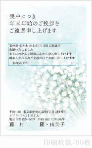 全96柄 2024年度版 喪中はがき印刷 普通郵便はがき「胡蝶蘭」 60枚 特選デザイン 64112_60