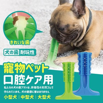 【快速出貨】狗狗牙刷 兩色顏色隨機 潔牙棒 寵物牙刷  毛小孩牙刷 口腔清潔