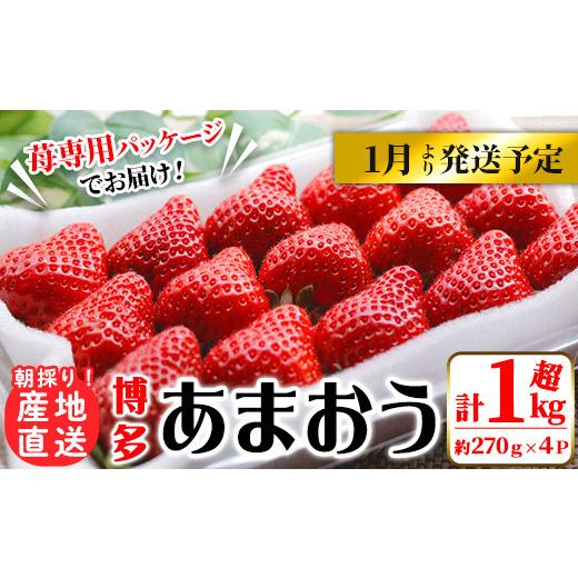 ふるさと納税 福岡県 春日市 ＜予約受付中！2024年1月下旬より順次発送予定＞農家直送 朝採り新鮮いちご(計1080g・約270g×4P) ＜…