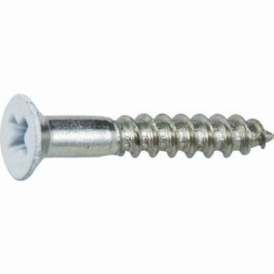 トラスコ中山 tr-8560822 TRUSCO ステンレス木ねじ 皿頭 M2.4X16 白 (45本入) (tr8560822)