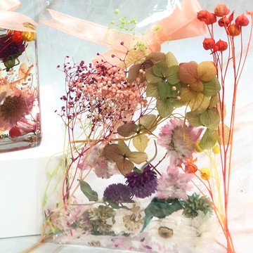 A-ONE 浮游花DIY花材包 彩色 浪漫金彩 天然乾燥花材 DIY花藝