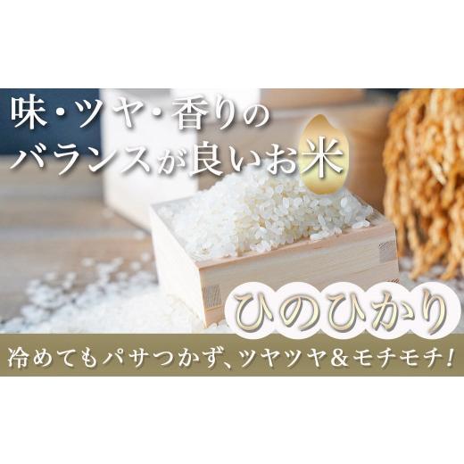 ふるさと納税 宮崎県 都城市 都城産ひのひかり みそとしょうゆの逸品!合計13点セット≪2023年12月20日〜31日お届け≫_AE-2006-HNY_(都城市) 白…