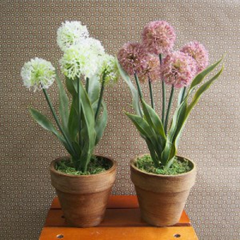 お部屋をグッと華やかに枯れない植物で作る手軽な癒し空間 フラワーポット オニオンフラワー 通販 Lineポイント最大1 0 Get Lineショッピング