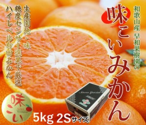 早和果樹園『小玉 味こいみかん』和歌山県産 秀品　S～2S 風袋込 約5kg 産地箱 ※常温 送料無料　2Sがない時にSで出荷