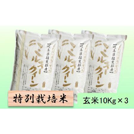 ふるさと納税 特別栽培米★玄米30kg10Kg×3 岐阜県池田町