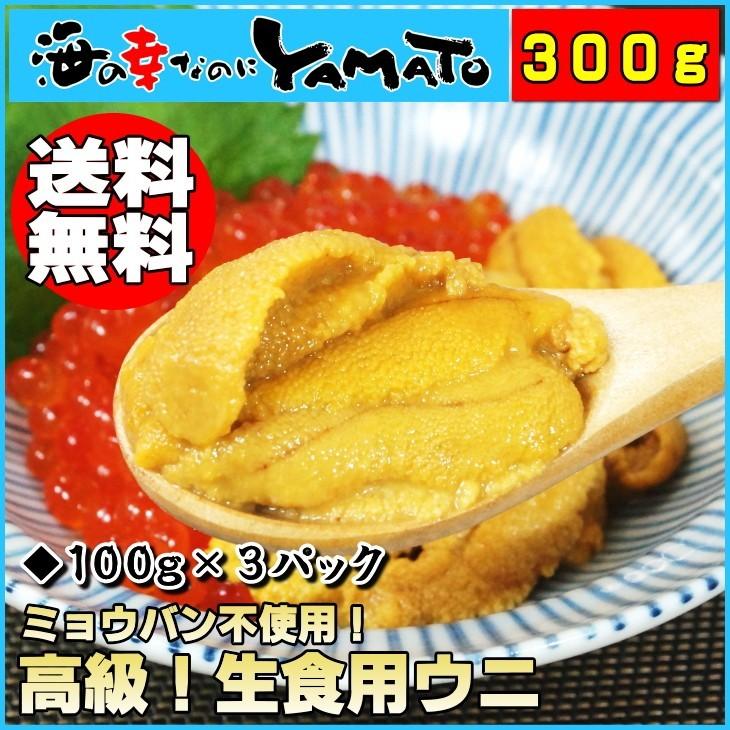 うに ウニ 天然生ウニ 100g×3パック 雲丹 ミョウバン不使用 完全無添加 冷凍食品 寿司 軍艦 ウニ丼