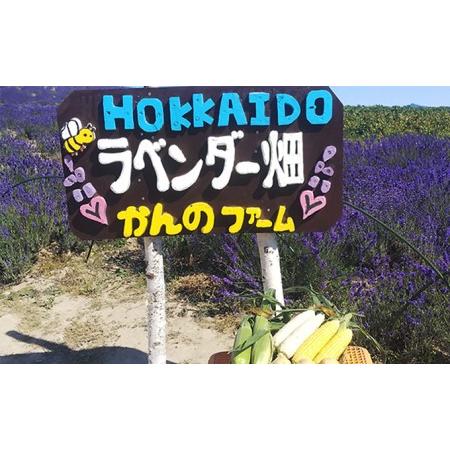 ふるさと納税 かんのファーム産 とうもろこし 食べ比べ 20本 セット(じゃがいも付) 北海道 上富良野町 とうもろこし トウモロ.. 北海道上富良野町