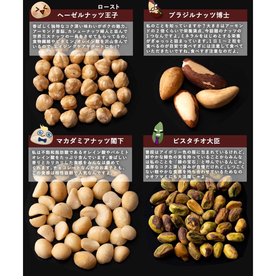 本気モード 世界のミックスナッツ 250g x 2袋