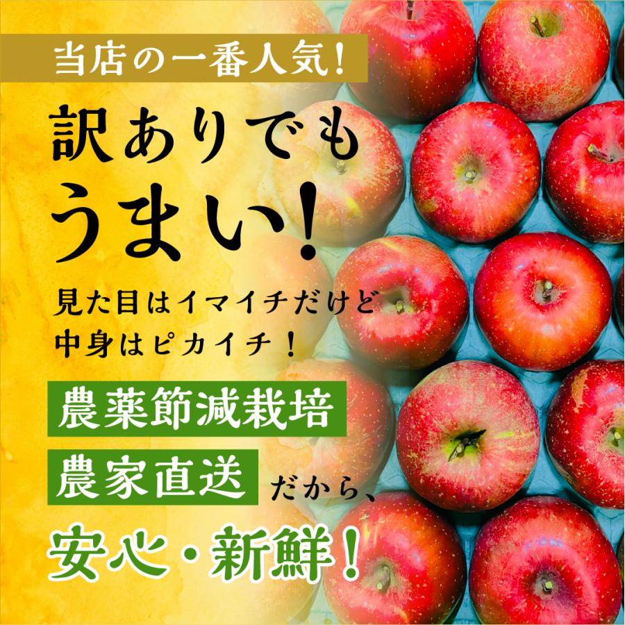 「サンふじ10キロ箱訳あり品」 減農薬 甘い  りんご 長野県 安曇野 信州 産地直送 果物 フルーツ  希少 ギフト 贈答 家庭 10kg お得