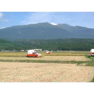 ふるさと納税 山形県 令和4年　山形県産　はえぬき　玄米10kg　特別栽培米