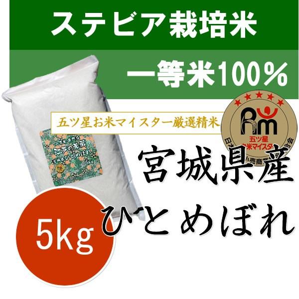 お米 5kg 新米 令和5年産 宮城県産 ひとめぼれ 5kg ステビア栽培 一等米 100%