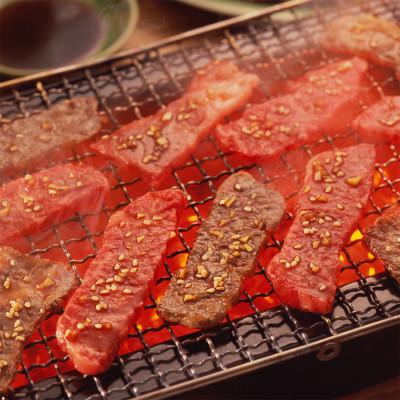 ふるさと納税 芸西村 土佐和牛上カルビ焼肉500g　高知県産