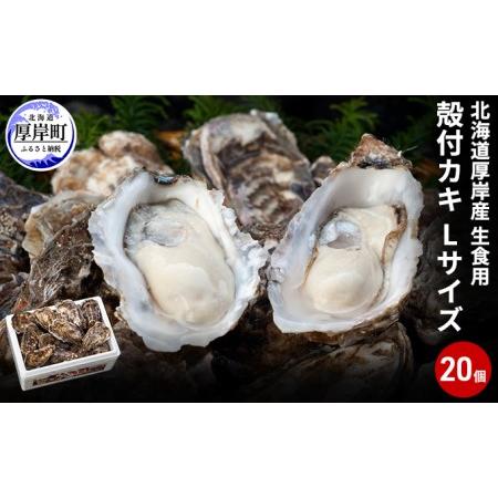 ふるさと納税 厚岸産　殻付カキLサイズ20個（生食用） 北海道厚岸町