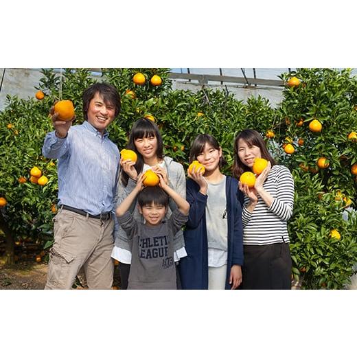 ふるさと納税 大分県 杵築市 野菜ソムリエ石児さんの訳ありフルーツ定期便A（1月・2月・3月・4月） みかん 柑橘類 定期便 訳あり 先行予約 せとか アンコール …