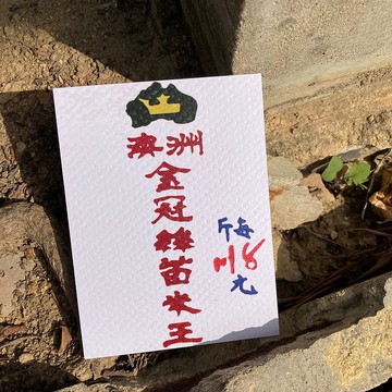 明信片 | #74 米牌