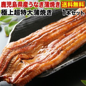 父の日 うなぎ グルメ 食べ物 蒲焼き 国産 鹿児島産 超特大蒲焼き2本セット 約220g×2 ギフト（鰻　ウナギ）