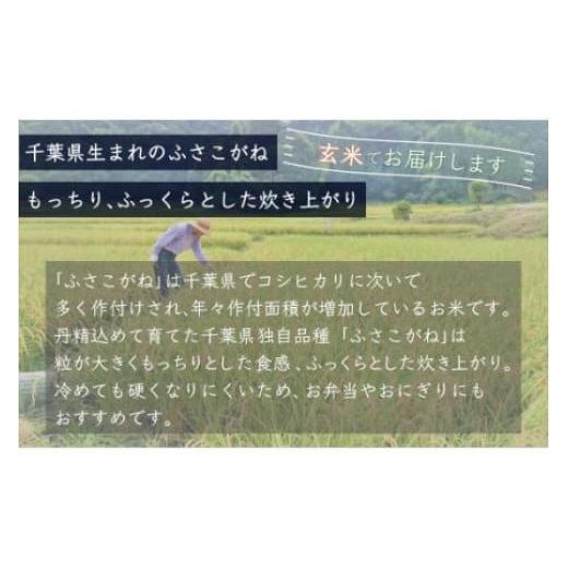 ふるさと納税 千葉県 大網白里市 令和5年産 千葉県産「ふさこがね」玄米30kg（30kg×1袋） ふるさと納税 玄米 30kg 千葉県産 大網白里市 ふさこがね …