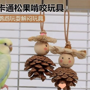 爆殺 鸚鵡解悶玩具 鳥籠裝飾鸚鵡解悶自嗨啃咬天然鬆果磨牙玩具鳥籠內裝飾小太陽牡丹和尚玩具 鸚鵡玩具 鳥玩具 toy