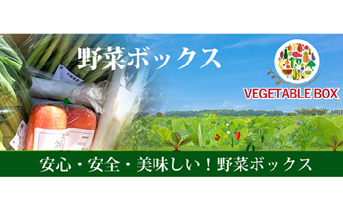 20-05阿見町産野菜ボックス（7～8品）