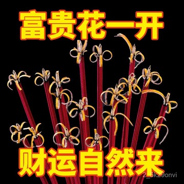 🌸臺灣熱賣🌸 下殺價 供佛香財神招財香無煙黃金捲財家用禮佛香檀香竹簽觀音拜神香 台灣出貨