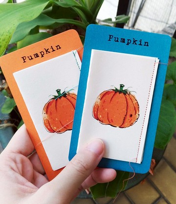 *Pumpkin* 南瓜