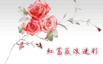 紅薔薇滾迷彩 盒 推薦 Yahoo奇摩拍賣 Line購物