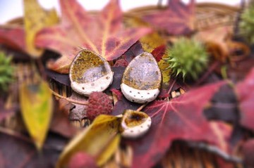 【好評加售】橡樹果和栗子的陶製筷架