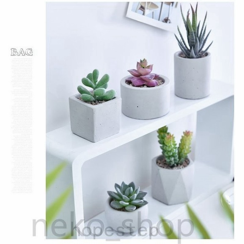 人工観葉植物 造花 多肉植物 2点セット ミニ 植物鉢植え 枯れない 観葉植物 可愛い 偽盆栽 装飾用 開店 室内 ホーム 庭 デコレーション インテ 通販 Lineポイント最大0 5 Get Lineショッピング