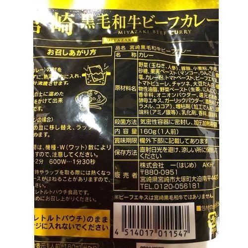 響　国産ご当地和牛肉・豚肉使用レトルトカレー　160g　10種各1袋　計10袋セット　 『送料無料(沖縄・離島除く)』