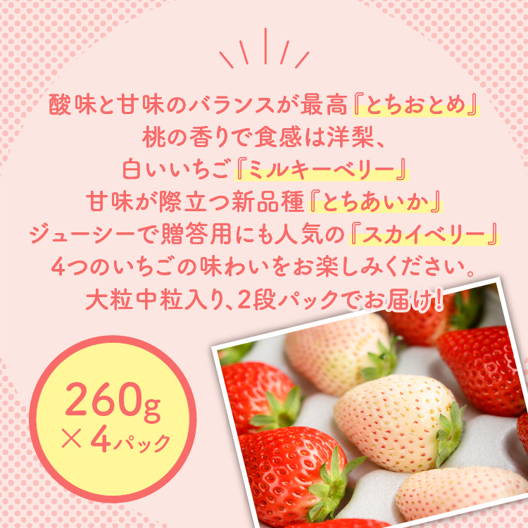 大満足4種食べ比べセット（とちおとめ、ミルキーベリー、とちあいか、スカイベリー）400g×2パック　800g ※2024年2月下旬～5月下旬頃に順次発送予定 ※着日指定不可