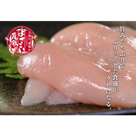 ふるさと納税 よさこい尾鶏 ささみ(220g×10パック)計12回 高知県大月町