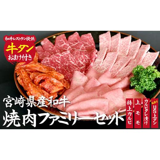 ふるさと納税 宮崎県 小林市 宮崎県産和牛焼肉ファミリーセット