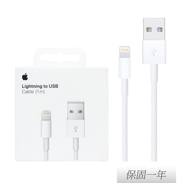 原廠 Lightning 對 USB