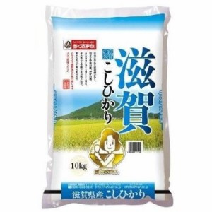 幸南食糧　滋賀産こしひかり（国産） 10kg×2袋／こめ／米／ごはん／白米／