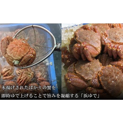 ふるさと納税 北海道 白老町 北海道産 冷凍ボイル毛ガニ (600g-660g前後) 2尾