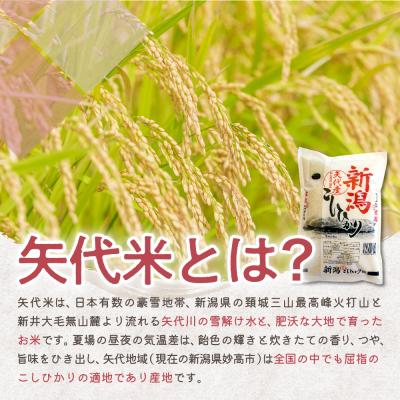 ふるさと納税 妙高市 2024年2月上旬より発送　新潟県矢代産コシヒカリ5kg×3回(計15kg)