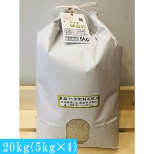 志村屋米穀店 令和5年産新米小田原市産 農薬・化学肥料不使用はるみ 新米 20kg（5kgｘ4）＜出荷時期：10月中旬より順次出荷開始＞