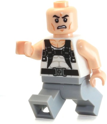 LEGO 樂高 Rhino 阿爾克塞伊 Systevich 限量版迷你圖 76037