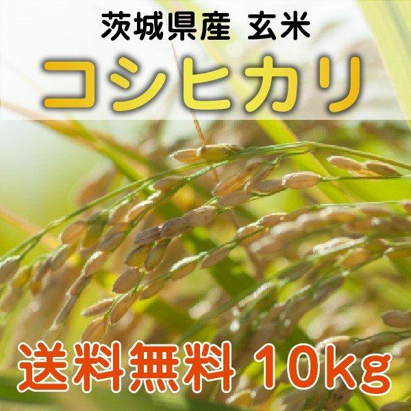 茨城県産コシヒカリ １０kg 玄米（精米無料）