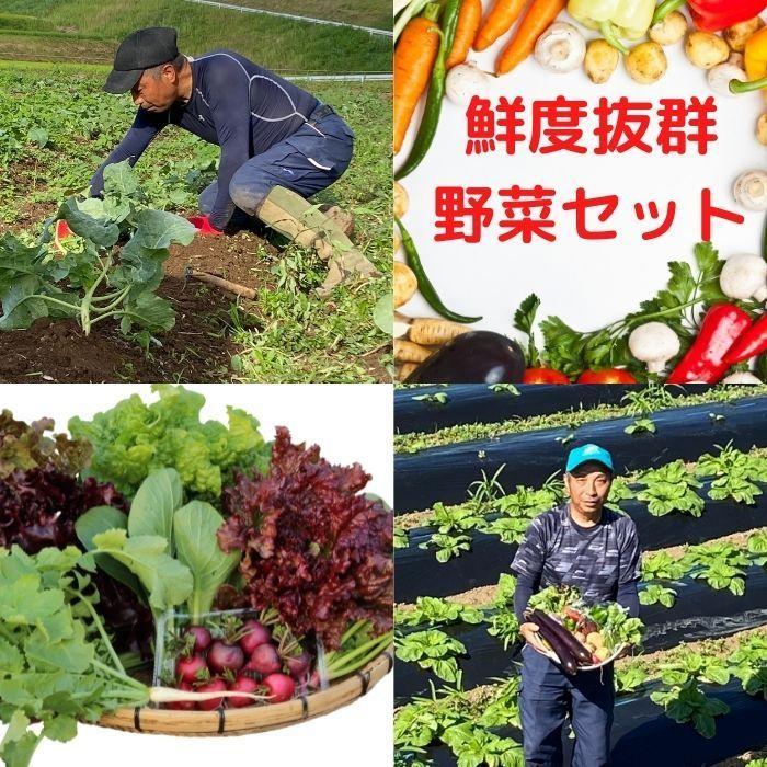 野菜＋米2kgお試しセット野菜 米 有機栽培 無農薬 熊本県産